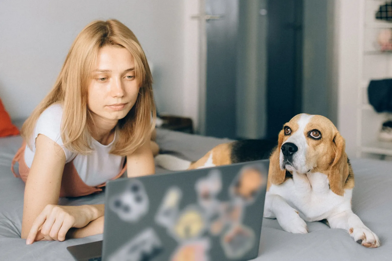 Tutora deitada na cama ao lado do seu beagle, olhando para o notebook